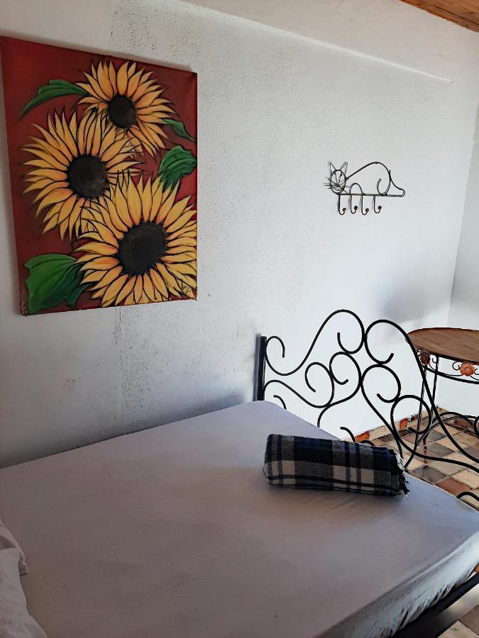 Hospedaria E Hostel Da Deia Ouro Preto  Bagian luar foto